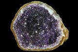 Wide Purple Amethyst Geode - Uruguay #83541-1